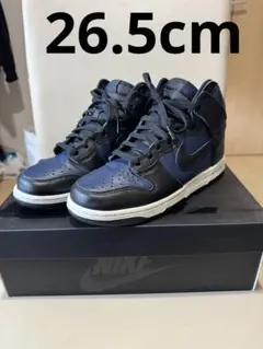 Fragment × Nike Dunk High Tokyo