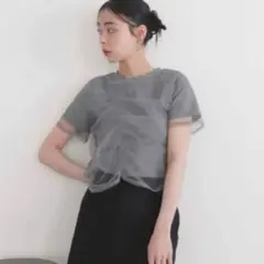 LIAN 半袖カットソー FREE シャーリングチュールレイヤードTシャツのサムネイル