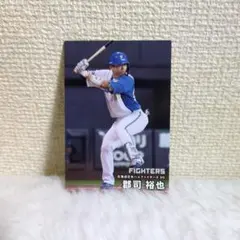 カルビー　プロ野球チップス　カード　北海道日本ハムファイターズ　郡司裕也