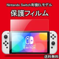 Switch 有機EL 保護シート ガラスフィルム OLED スイッチ 1枚