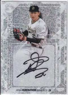 Item thumbnail for item ca23a824-7e26-4d7e-bbd2-5e5c9a0955ba