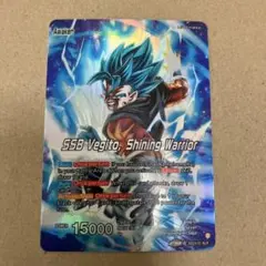 カリー様 リクエスト 2点 まとめ商品