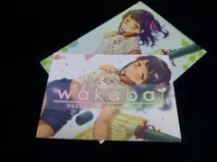 Item thumbnail for item b69959dc-80da-4557-9e6c-959edffe43bf