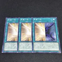 遊戯王　表裏一体 3枚セット