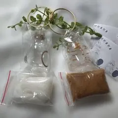 うちの子けだまだま　猫　2種　茶トラ&シャム　正規品