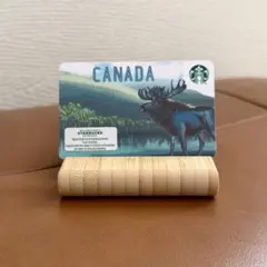 【海外限定】スターバックスカード 15