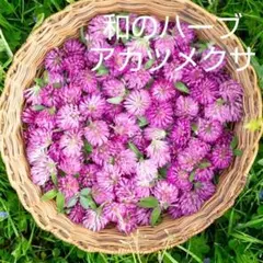 亀やん様 リクエスト 10点 まとめ商品