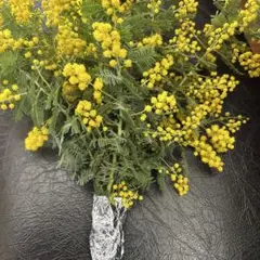 ミモザ 生花 スワッグ　リース　フラワーアレンジメント