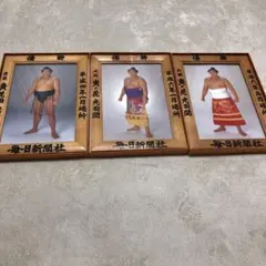 2026年最新】大相撲優勝額 ミニチュアの人気アイテム - メルカリ