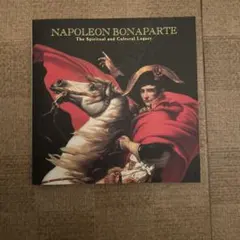 ナポレオンのパズルです(*^^) Amazon.co.jp: 300ピース ジグソーパズル アートラウンジ