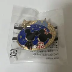 ディズニーゲーム景品　ピンバッジ夜限定品