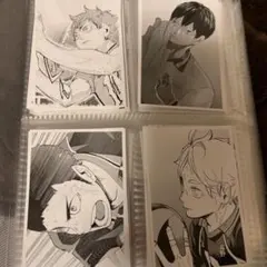 ハイキュー10thフォトカード全種+思い出スナップカード全種