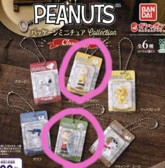【チャーリー・ブラウン　ライナス】ピーナッツ パッケージミニチュアコレクション