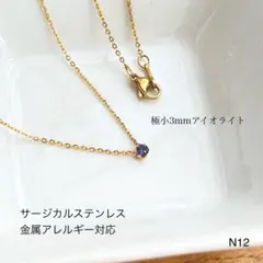 天然石アイオライト　一粒　ネックレス　サージカルステンレス［固定型］G