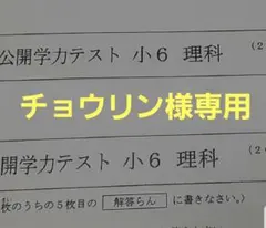 チョウリン様専用