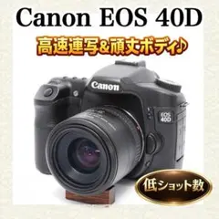 2026年最新】EOS 40D レンズの人気アイテム - メルカリ