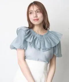 定価10890円　ウィルセレクション　キャミソール付き衿フリルブラウス