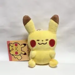 포켓몬 포켓몬 센터 피카츄 yurutto 박제 마스코트