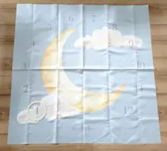 月齢フォト ニューボーンフォト