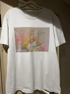 《美品》ANAYI コットンプリントTシャツのサムネイル