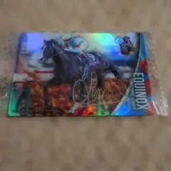 EQUINOX　有馬記念　G1　第3R