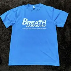 Item thumbnail for item 55574769-ff40-40c4-a159-b7faf1c8d57b