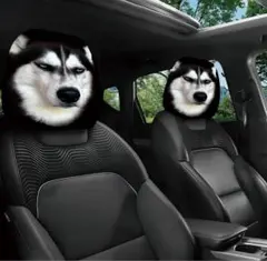 Item thumbnail for item 2ae0a015-1638-4481-a2d0-389364288ecd