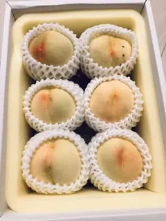 訳あり⭐︎桃⭐︎岡山県産⭐︎清水白桃6個入り⭐︎現品限り7/26発送⭐︎2k箱⭐︎化粧箱入り