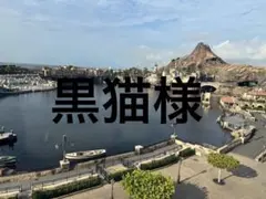 黒猫様