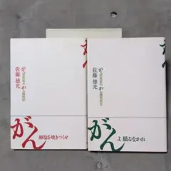 Item thumbnail for item a6762a59-a9f8-4695-bc10-a7752cd20741