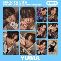 &TEAM YUMA Back to Life トレカ まとめ売り コンプ