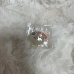 TREASURE TRUZ めじるしアクセサリー RURU