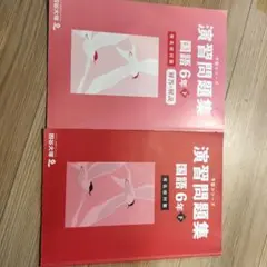 四谷大塚　予習シリーズ　演習問題集 国語 6年下 有名校対策　解説付き