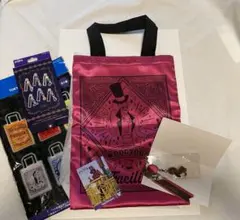 ディズニーヴィランズ ハロウィン トートバッグ キーチェーン カード ファシリエ