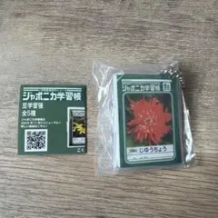 ジャンボニカ学習帳　豆学習帳ガチャ　自由帳