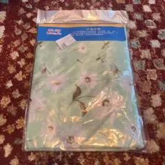 Item thumbnail for item 2cdcecfc-5009-42dd-b5cb-3c1dddbe86e0