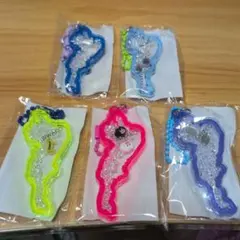 BIWAKO 琵琶湖 アクリルキーホルダー 5色セット