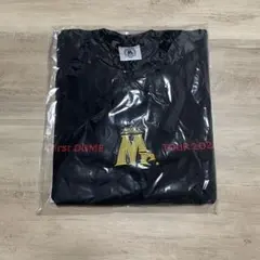 Item thumbnail for item 7597352b-d028-4721-acbe-a16374e17310