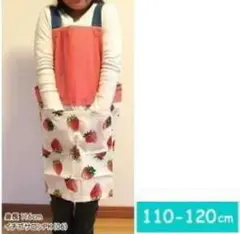 Item thumbnail for item af6b7433-735c-4132-a8ca-5f1d9dfb23cf