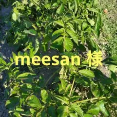 お野菜詰め合わせ