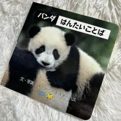 パンダ はんたいことばのサムネイル