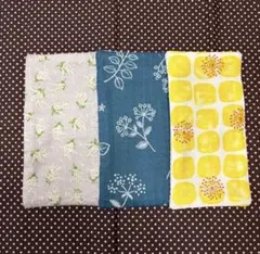 Item thumbnail for item 2e55a092-0bdf-4090-a280-5b6e9847f88c