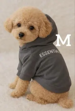 大人気　新品 Mサイズ　犬服 パーカー フード付き 小型犬 おしゃれ 韓国風