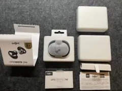 Item thumbnail for item 88b43956-93d6-4434-ac75-bf0fac219030