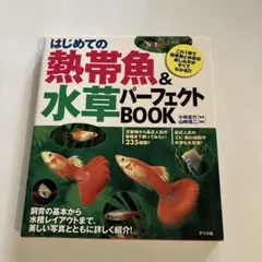 Item thumbnail for item f9d3b383-1a61-40ae-9229-d7f6251b8731