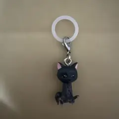 しょんぼり猫 救出物語 めじるしアクセサリー 黒猫 短毛✨