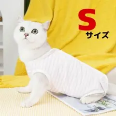 Item thumbnail for item e66145d4-1581-4d99-8e40-113e03327f30