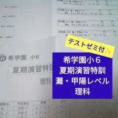 2026年最新】希学園テキストの人気アイテム - メルカリ
