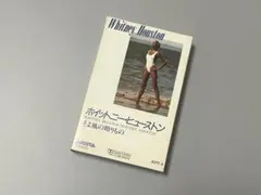 Item thumbnail for item c66e48a1-2b39-44af-a8ab-edeb3b38264f