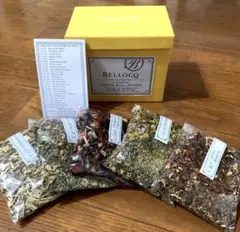 Item thumbnail for item 010ae05a-076e-4fe3-b0ff-7db3768f5650